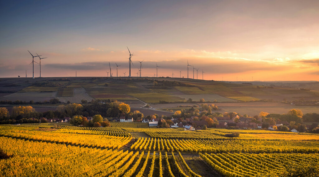 Champ avec éoliennes au loin